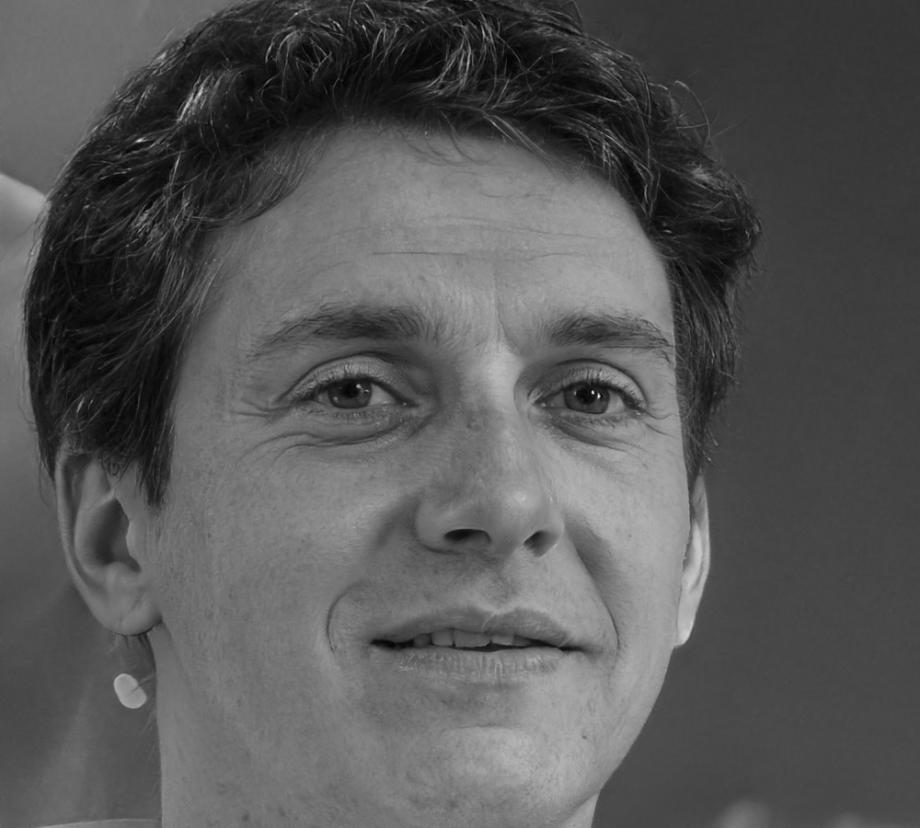 Carlos Mendoza, Director de Programa
